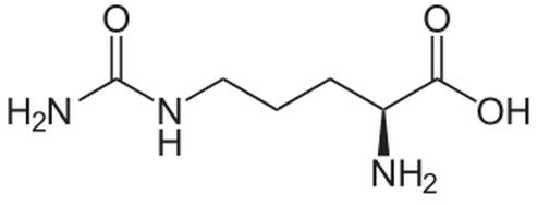 cytrulina